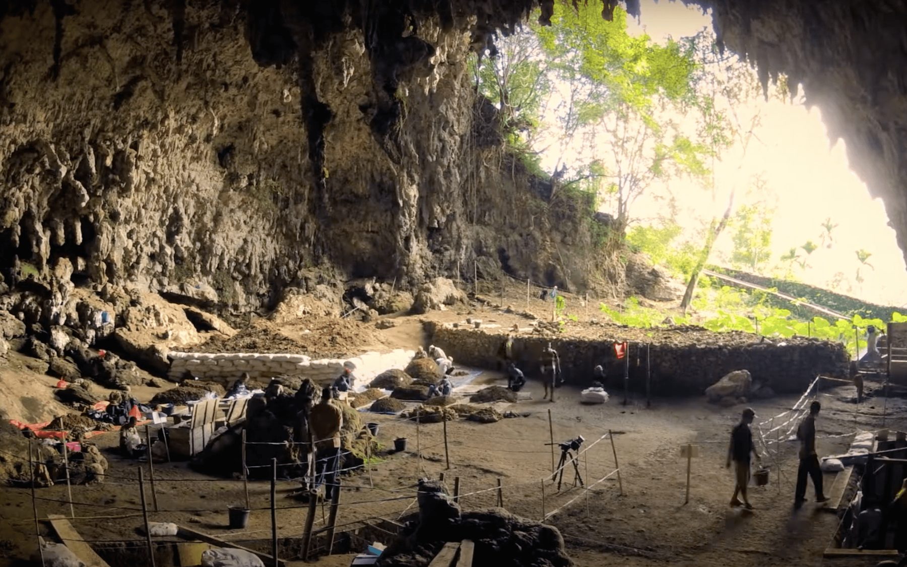 Wide view of the Liang Bua cave archaeological excavation site